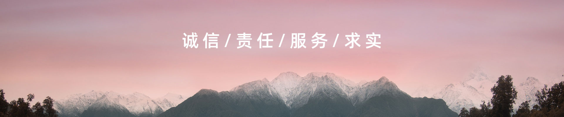 新聞動態(tài)
